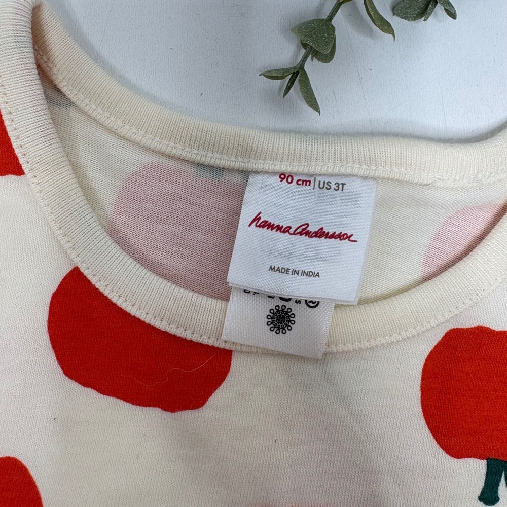Hanna Andersson Kids pumpkin  Print Long Sleeve Dress Size 3T Cream - Picture 3 of 4